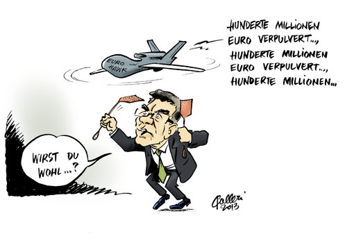 Euro Hawk © Paolo Calleri